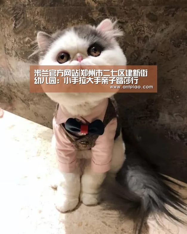 milan米兰app官网