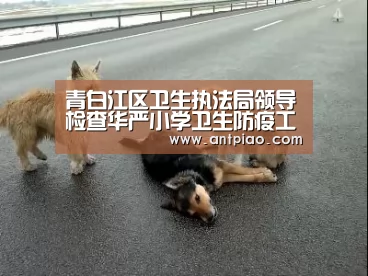 milan米兰app官网