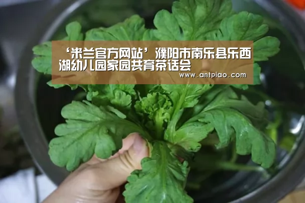 米兰官方网站