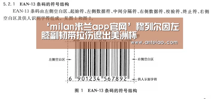 milan米兰app官网