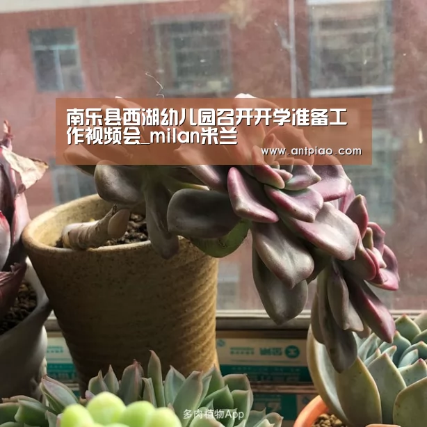 milan米兰app官网